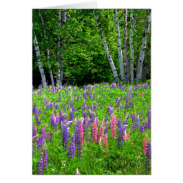 ルパンの間の息を切らした瞬間