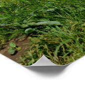 ルパンの風景 –  ポスター (角)