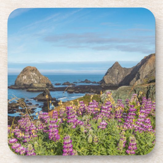 ルパン山の花 コースター (正面)