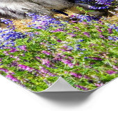 ルパン開花 ポスター (角)