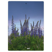 ルパン クリップボード (裏面)