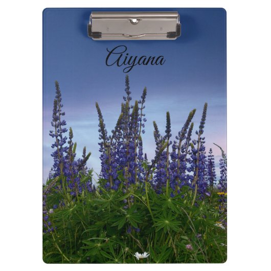 ルパン クリップボード (正面)