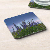 ルパン コースター (左側)