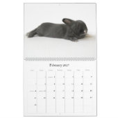 ルパートの年 カレンダー (2月 2027)