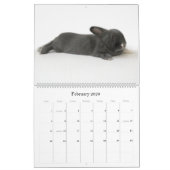 ルパートの年 カレンダー (2月 2026)