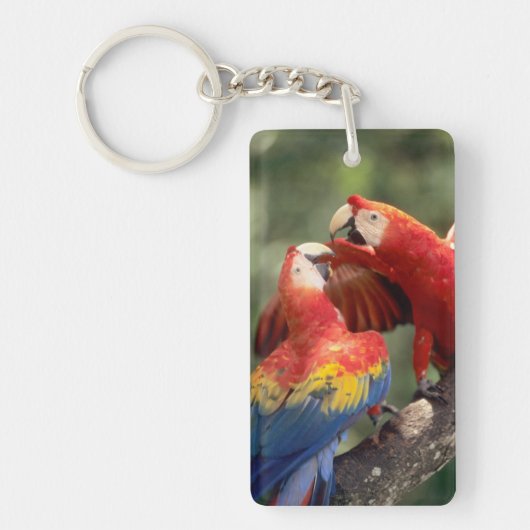 ルビコンウシクイインコのつがい キーホルダー (正面)