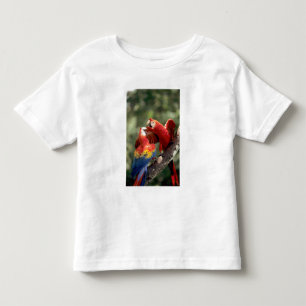 ルビコンゴウインコのつがい トドラーTシャツ