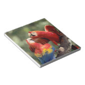 ルビコンゴウインコのつがい ノートパッド (アングル)