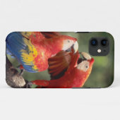 ルビコンゴウインコのつがい Case-Mate iPhoneケース (裏面(横))