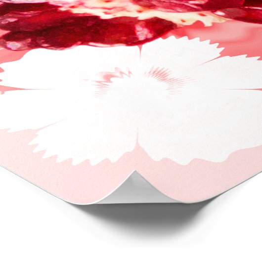 ルビザクロ果実 ポスター (角)