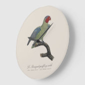 ルビノガシラインコ(Geoffroyus geoffroyi)オス ラージ壁時計 (傾斜)