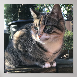 ルビーのママ、リビー夫人 ポスター