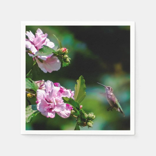 ルビーの喉が詰まったハミングバード – オリジナル写真 スタンダードカクテルナプキン (正面)