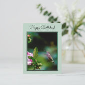 ルビーの喉が詰まったハミングバード – オリジナル写真 ポストカード (スタンド正面)