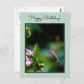 ルビーの喉が詰まったハミングバード – オリジナル写真 ポストカード (正面/裏面)