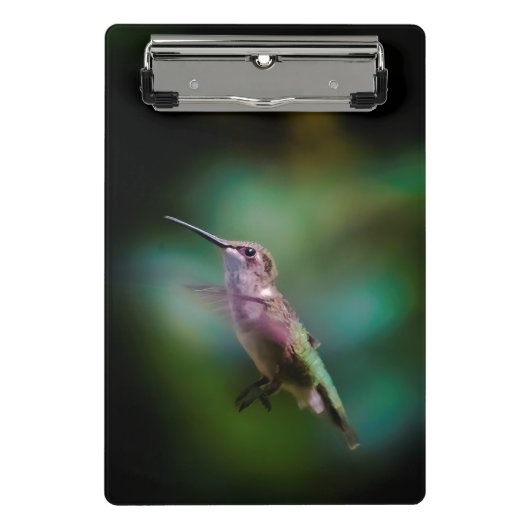 ルビーの喉が詰まったハミングバード – オリジナル写真 ミニクリップボード (正面)