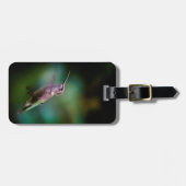 ルビーの喉が詰まったハミングバード – オリジナル写真 ラゲッジタグ (正面横)