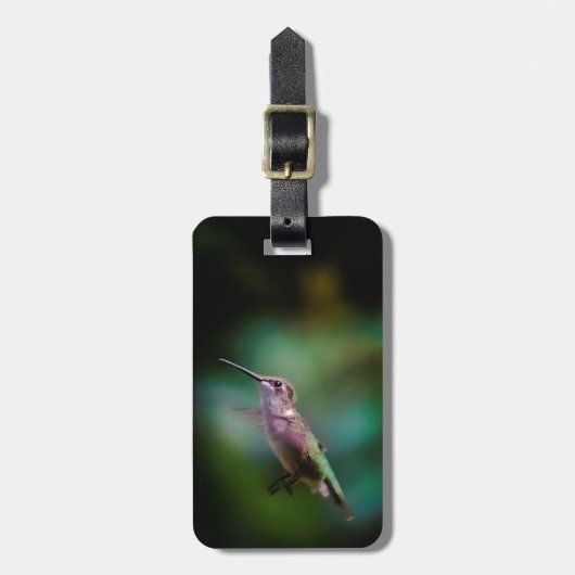 ルビーの喉が詰まったハミングバード – オリジナル写真 ラゲッジタグ (正面縦)