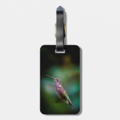 ルビーの喉が詰まったハミングバード – オリジナル写真 ラゲッジタグ (裏面縦)