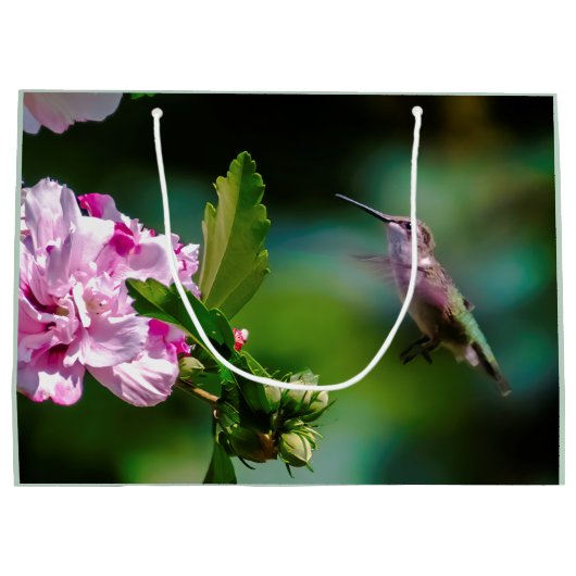 ルビーの喉が詰まったハミングバード – オリジナル写真 ラージペーパーバッグ (裏面)