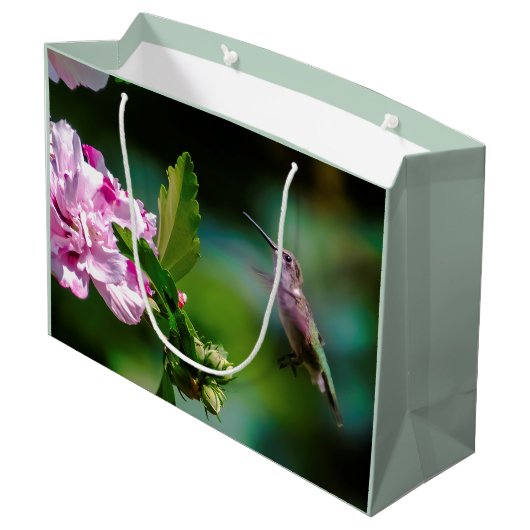 ルビーの喉が詰まったハミングバード – オリジナル写真 ラージペーパーバッグ (裏面アングル)