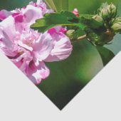 ルビーの喉が詰まったハミングバード – オリジナル写真 薄葉紙 (詳細)