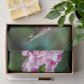 ルビーの喉が詰まったハミングバード – オリジナル写真 薄葉紙 (ギフト)