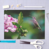 ルビーの喉が詰まったハミングバード – オリジナル写真 薄葉紙 (クラフト)