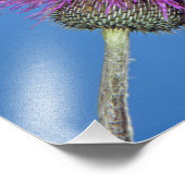 ルビーの喉のハミングバード フォトプリント (角)