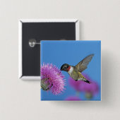 ルビーの喉のハミングバード 缶バッジ (正面&裏面)