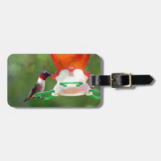 ルビーの喉の詰まったハミングバード ラゲッジタグ (正面横)