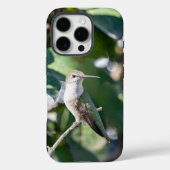 ルビーの喉をしたハチドリのスマホケース 母の日 Case-Mate iPhoneケース (裏面)
