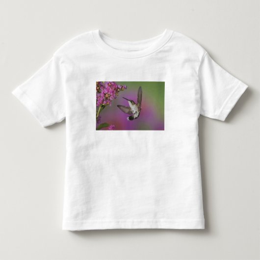 ルビーの喉をした若い雄のハチドリ トドラーTシャツ (正面)