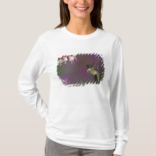 ルビーの喉をした雄のハチドリ Tシャツ (正面)