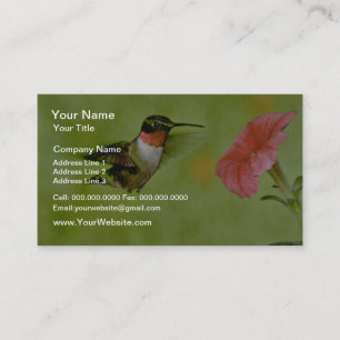ルビーの喉を切ったハチドリ(雄)で、ペチュニアピンク 名刺