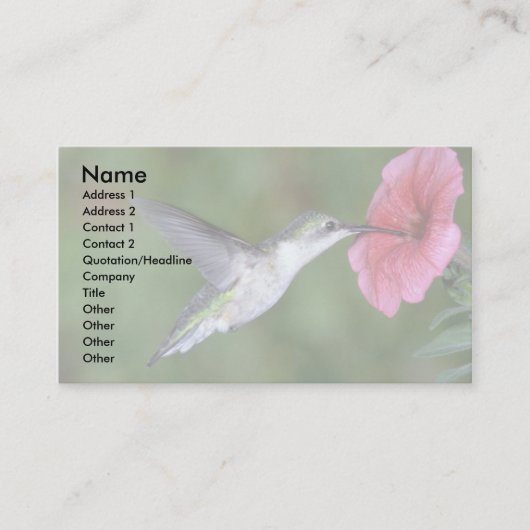 ルビーの喉を切ったハチドリ（雌）とペチュニア 名刺 (正面)