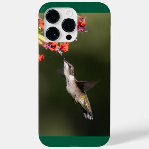 ルビーの喉を張ったハミングバード Case-Mate iPhone 14 PRO MAXケース
