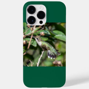 ルビーの喉を張ったハミングバード Case-Mate iPhone 14 PRO MAXケース