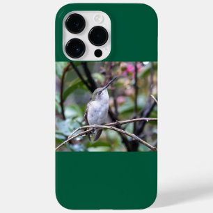 ルビーの喉を張ったハミングバード Case-Mate iPhone 14 PRO MAXケース