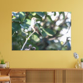 ルビーの喉を持つハミングバード幼年男性 キャンバスプリント (インサイチュ (リビング))