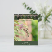 ルビーの喉を突いたハミングバードクリスマスカード シーズンポストカード (スタンド正面)