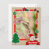 ルビーの喉を突いたハミングバードクリスマスカード シーズンポストカード (正面/裏面)