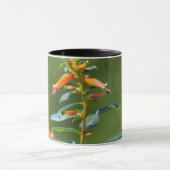 ルビーの喉を突いたハミングバード"in Cuphea" マグカップ (中央)