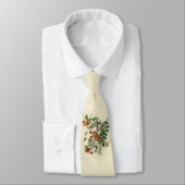 ルビーの喉を通したハミング鳥、オーデュボン鳥類アメリカ ネクタイ (タイ)