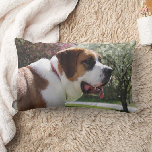 ルビーの春の枕 ランバークッション (ブランケット)