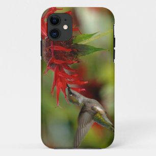 ルビーの胸を切り裂いたハチドリアルキロコスコルブリス iPhone 11 ケース