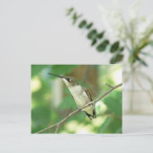 ルビーを使ったハミングバードハガキ。 ポストカード (スタンド正面)