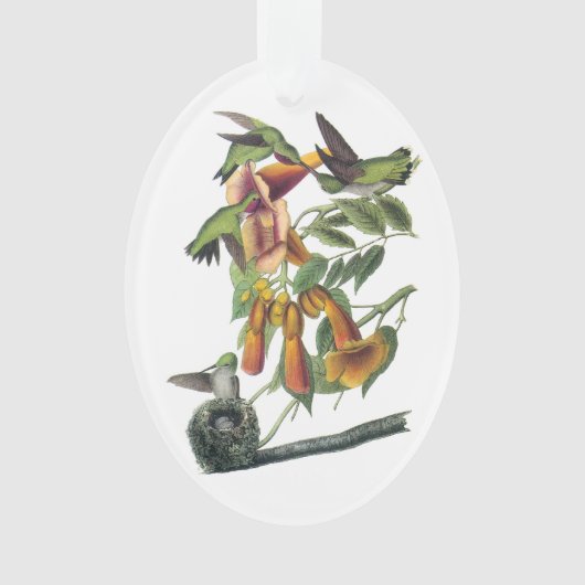 ルビーを使ったハミングバードバイオードボン オーナメント (正面)