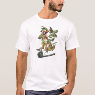 ルビーを使ったハミングバードバイオードボン Tシャツ
