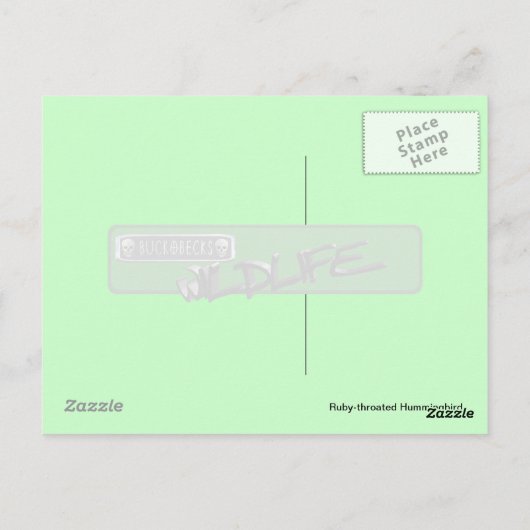 ルビーを使ったハミングバードポストカード(男性)。 ポストカード (裏面)